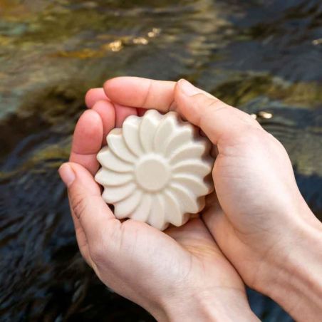 Shampooing solide PAOS - Huile de pépins de raison bio