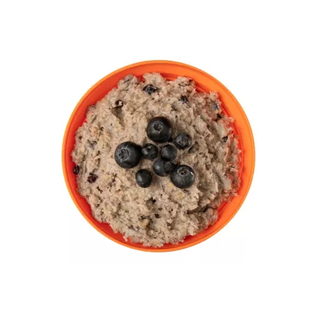 Heidelbeer-Porridge