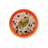 Fiocchi d'avena mela e ribes nero - Doppia porzione