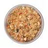 Pollo al riso con cinque spezie