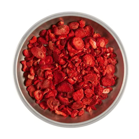 Erdbeeren - Gefriergetrocknete Früchte