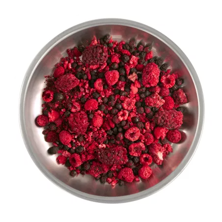 Wild Berries - Freeze Dried Fruit