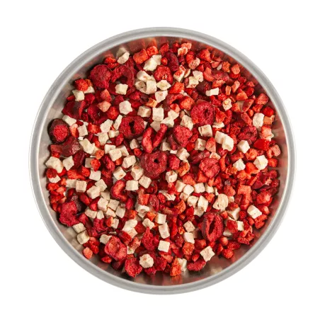 Orchard Fruits - Freeze Dried Fruit