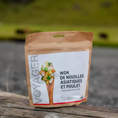 Asiatische Nudeln im Wok mit Hähnchen