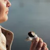 Barre énergétique bio Léone - Figues, noix, fleur de sel