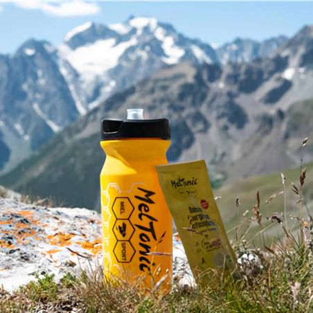 Bevanda energetica antiossidante biologica Meltonic x 6 stick - Limone