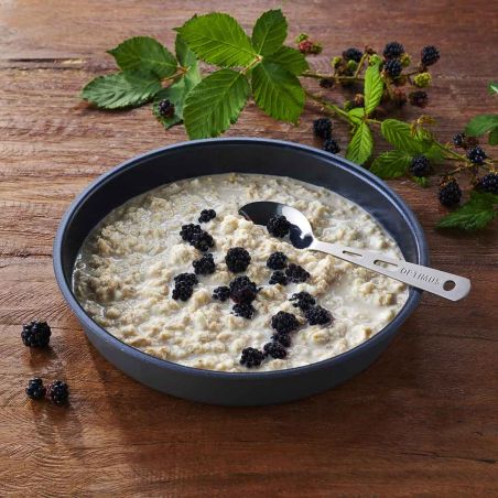 Porridge proteico