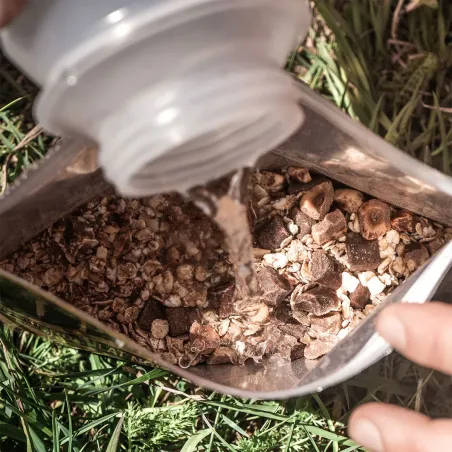 Papas de aveia com chocolate e avelã biológica