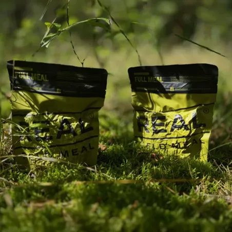 Poulet tikka masala et riz - Grand format