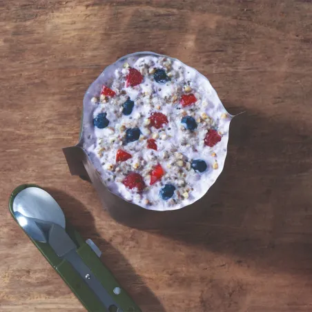 Porridge ai frutti rossi