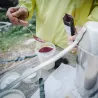 Polvere di fragole biologiche