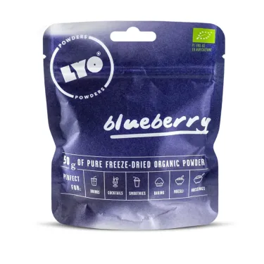Organic blueberry powder