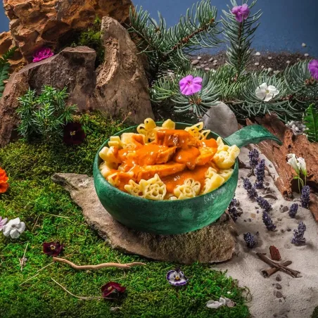 Pollo a la crema con pasta - Infantil