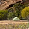 Tente de randonnée Sea to Summit Telos EVO TR2 - 2 personnes