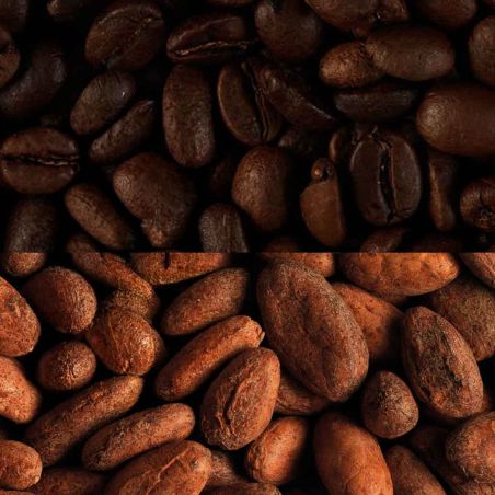 Veloforte Mocha Energieriegel - Haselnuss, Kaffee, Kakao