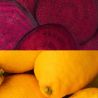 Veloforte Primo energigel – Rødbede, citron