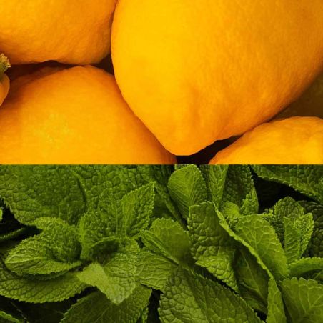 Veloforte Fresco energiakumit - Sitruuna, tuore minttu