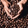 Gel energetico Mulebar - Caffè cortado