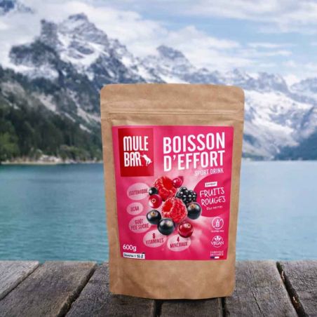 Mulebar Sportgetränk – Rote Früchte