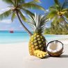 Composta energetica Mulebar - Ananas e cocco