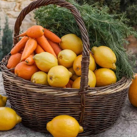Mulebar Energie-Kompott – Orange, Karotte, Zitrone