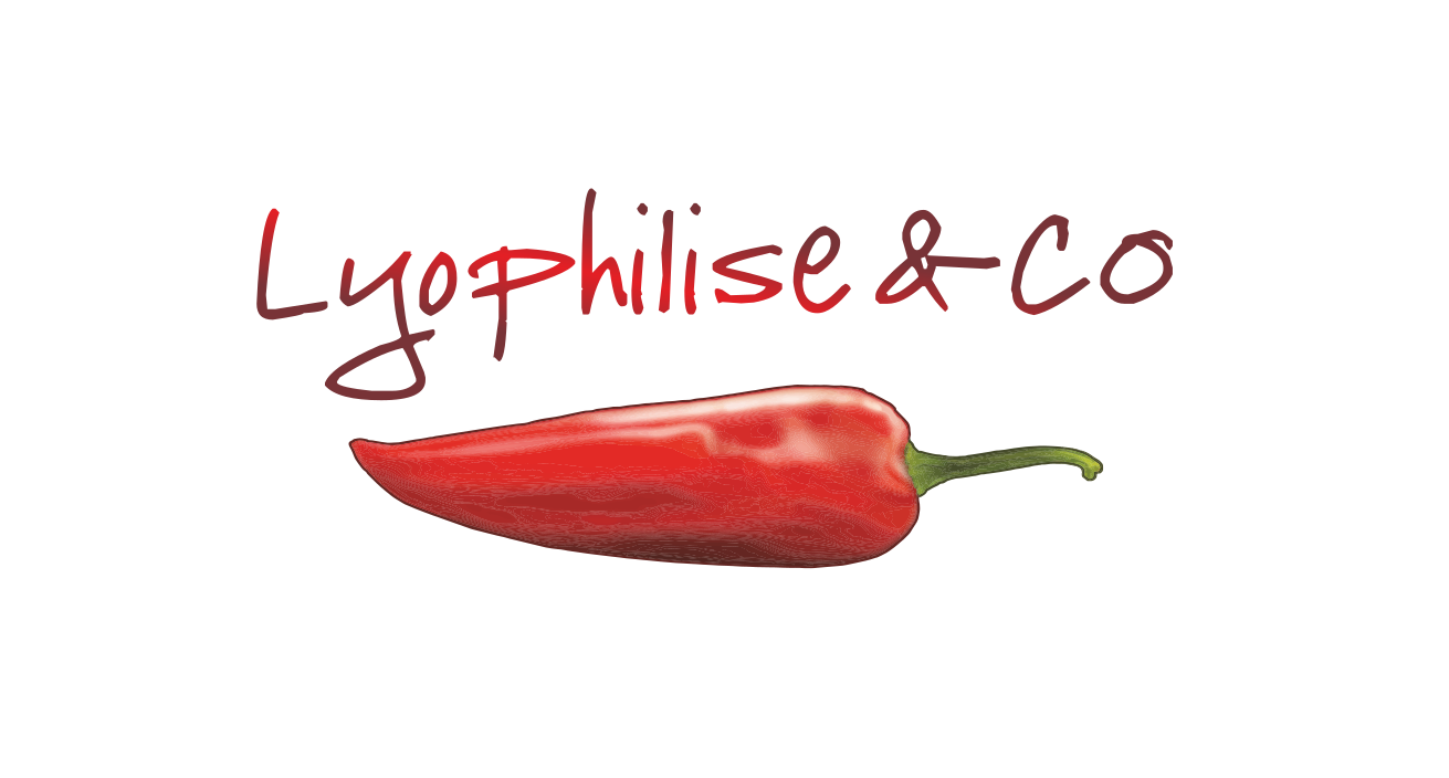 El mejor equipo de senderismo y acampada en 2022