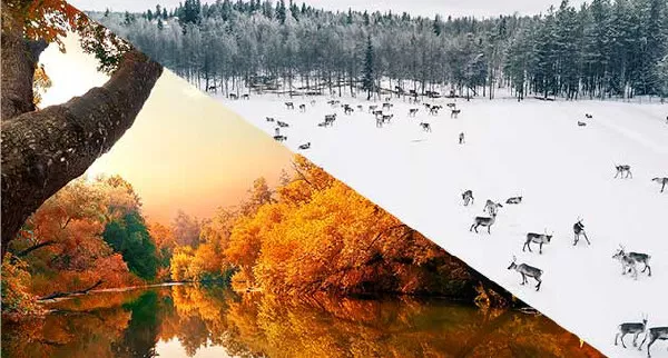 Comer bien en otoño e invierno